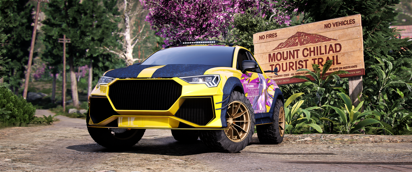 (Debadged) Audi RSQ3 UTE