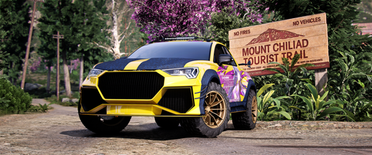 (Debadged) Audi RSQ3 UTE