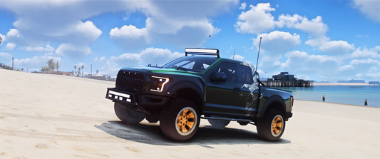 (Debadged/Badged) Ford F-150 Raptor Ghost Edition
