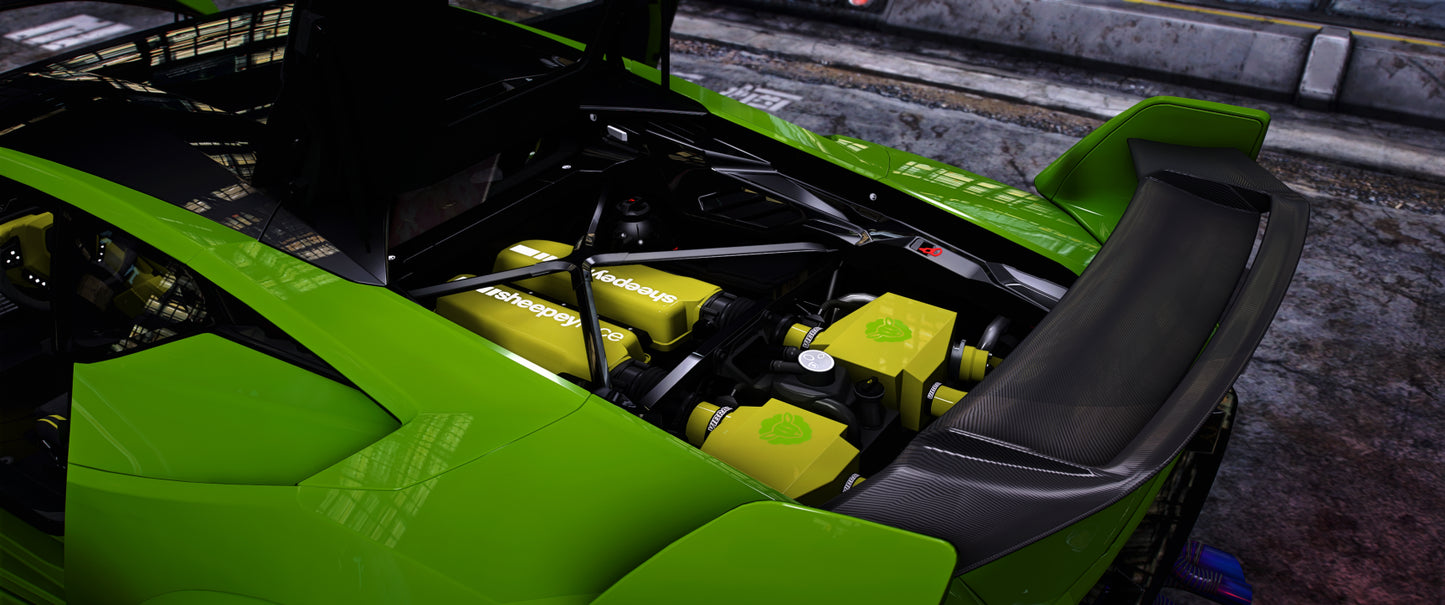 2023 Twin Turbo Widebody Huracan Tecnica