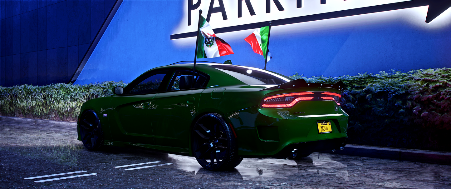 Dodge Charger Pooh Scat