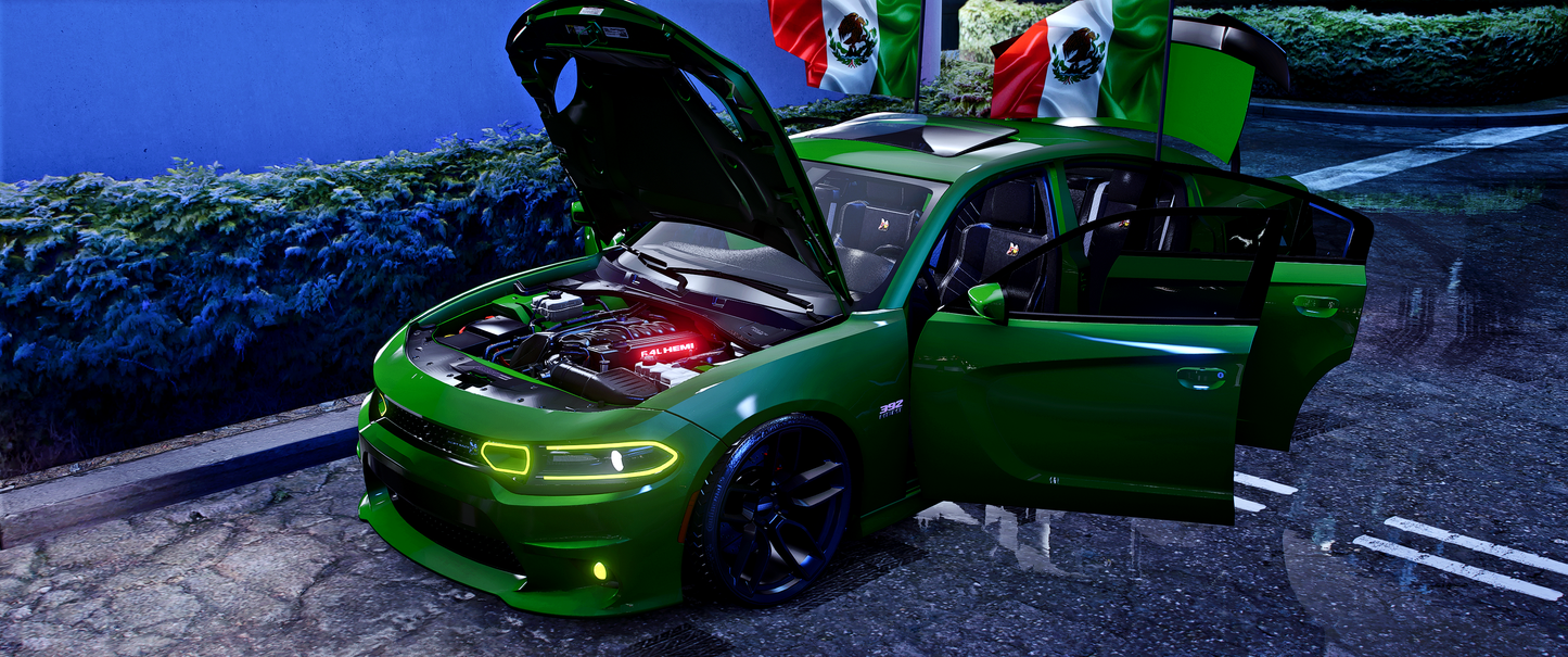 Dodge Charger Pooh Scat