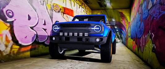 (Lore Friendly) Custom Riata X
