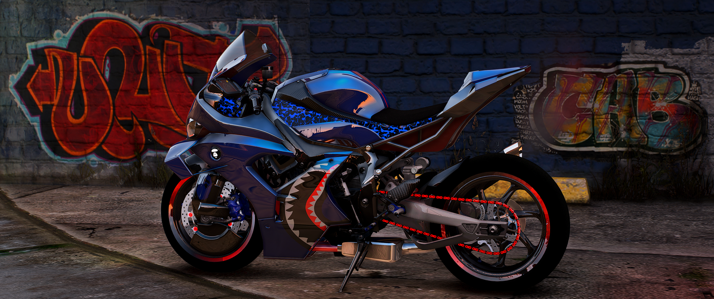 BAPE BMW M1000RR [Dinamic Lights]