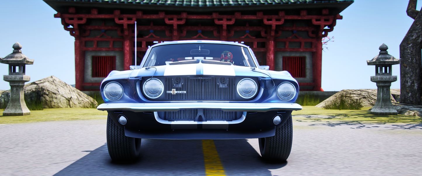 (Debadged + Badged) Shelby GT500 1967